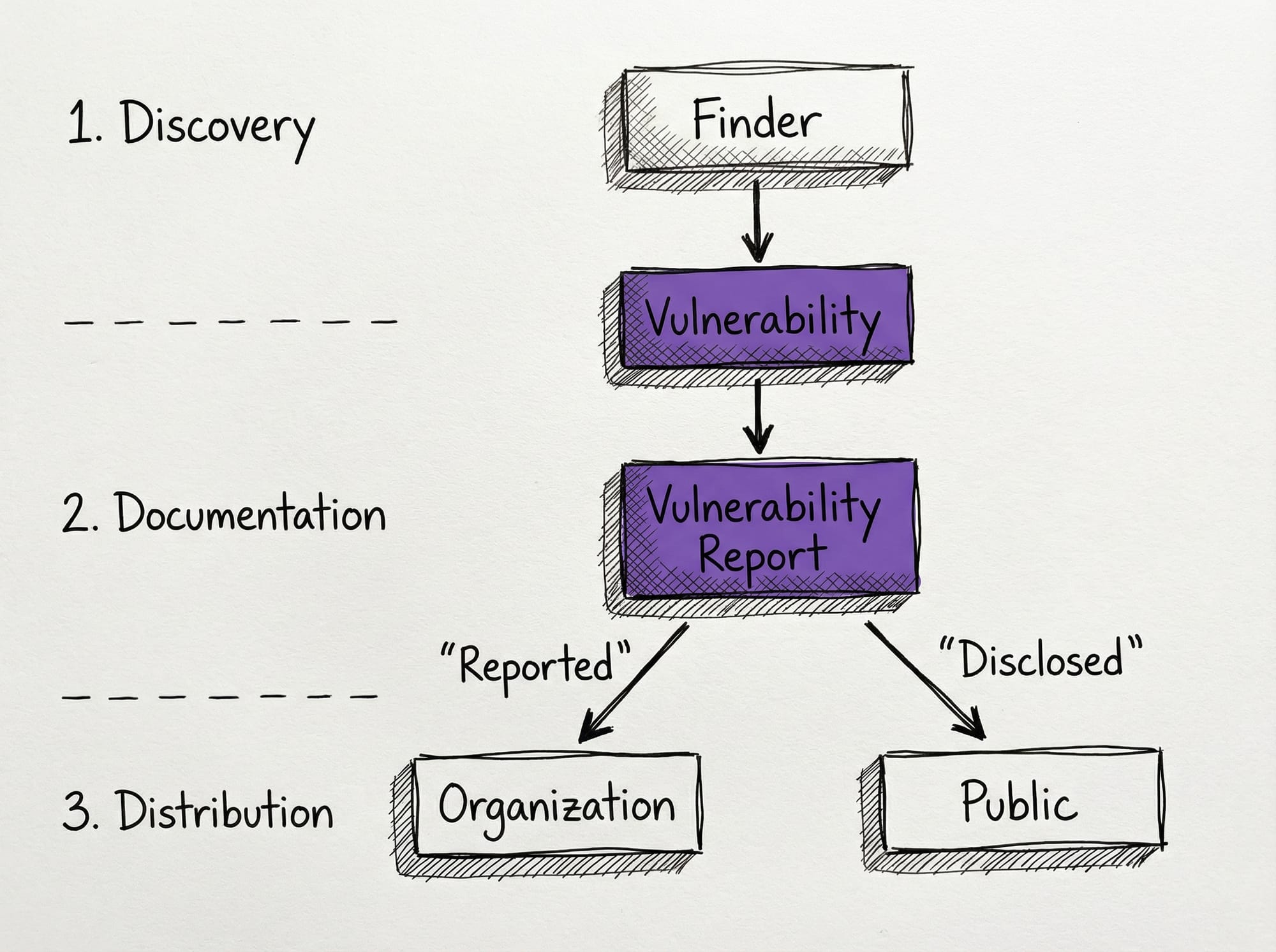 Vulnerability Disclosure Workflow: Finder discovers vulnerability, documents it in a report, then distributes by reporting to the organization and/or disclosing to the public